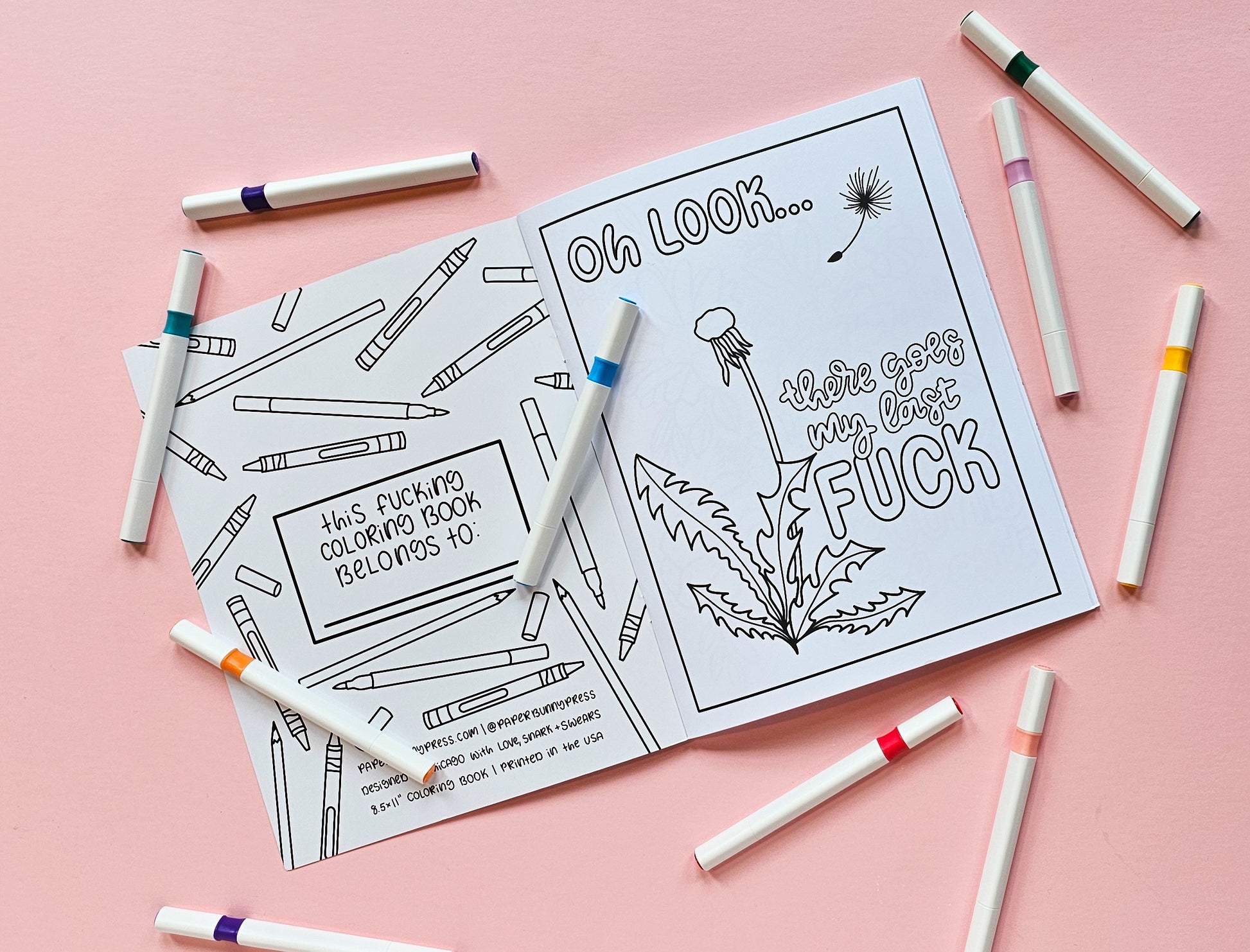 Colorful Chaos, a snarky coloring book