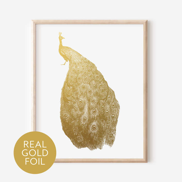 Peacock Gold Foil Print