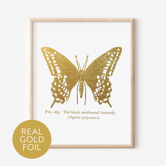 Black Swallowtail Butterfly Gold Foil Print