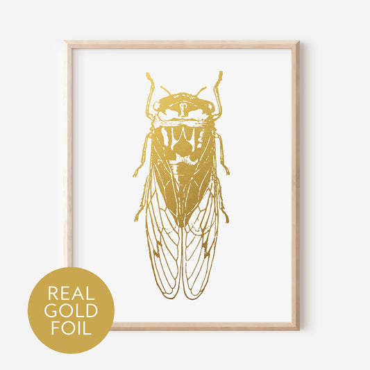 Cicada Gold Foil Print