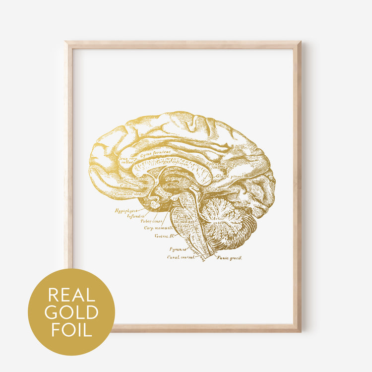 Brain Gold Foil Print