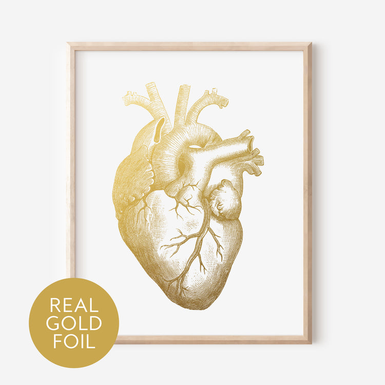 Human Heart Gold Foil Print