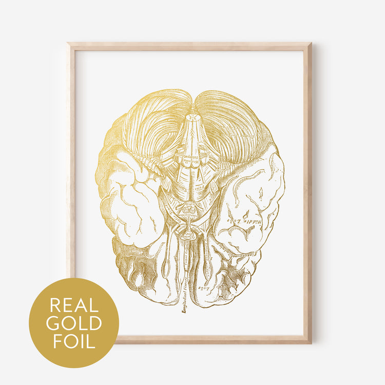 Human Brain Gold Foil Print