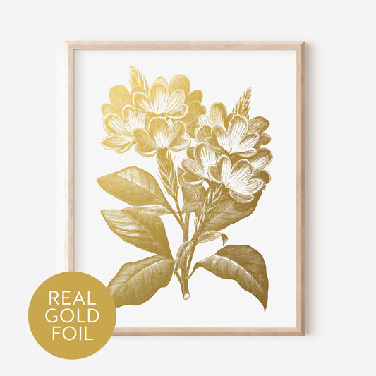 Crossandra Gold Foil Print