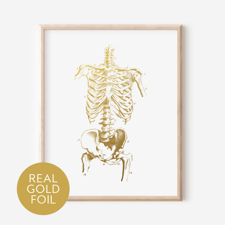Human Skeleton Gold Foil Print
