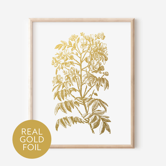 Marylandica Gold Foil Print