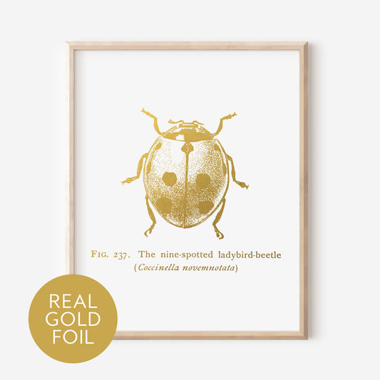 Ladybug Gold Foil Print