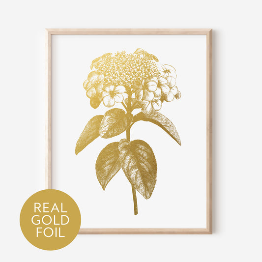 Viburnum Gold Foil Print