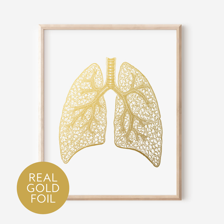 Human Lungs Gold Foil Print