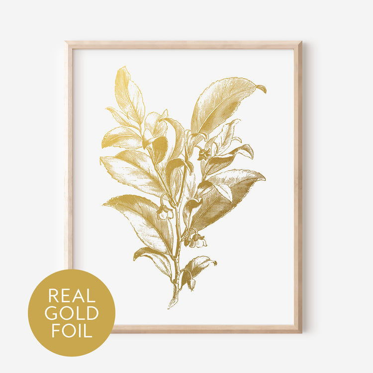 Visnea Mocanera Gold Foil Print