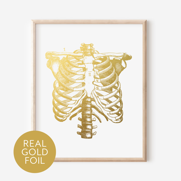 Rib Cage Gold Foil Print
