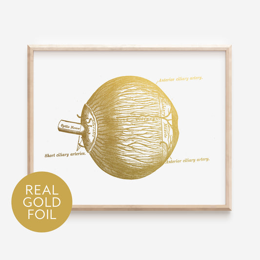 Eyeball Gold Foil Print