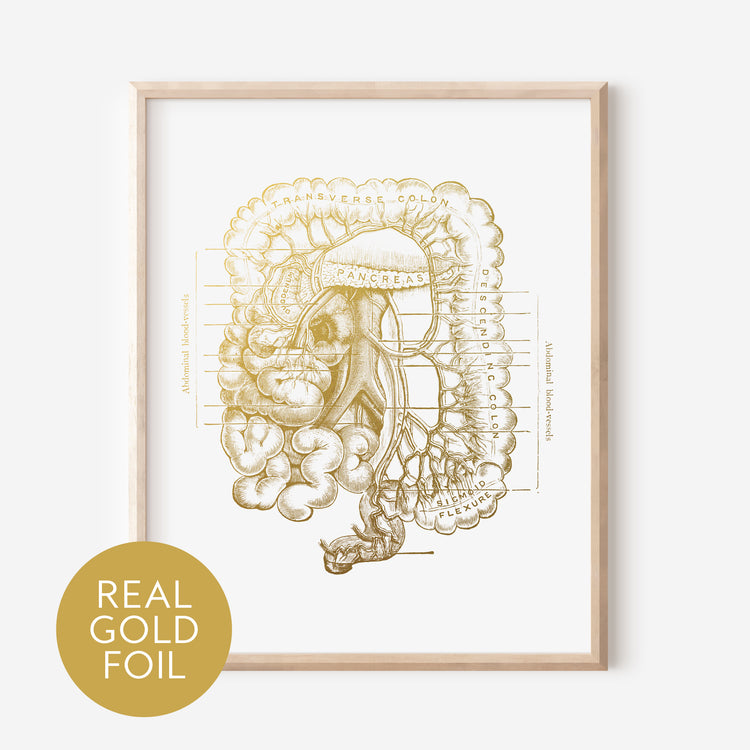 Large Intestines Gold Foil Print