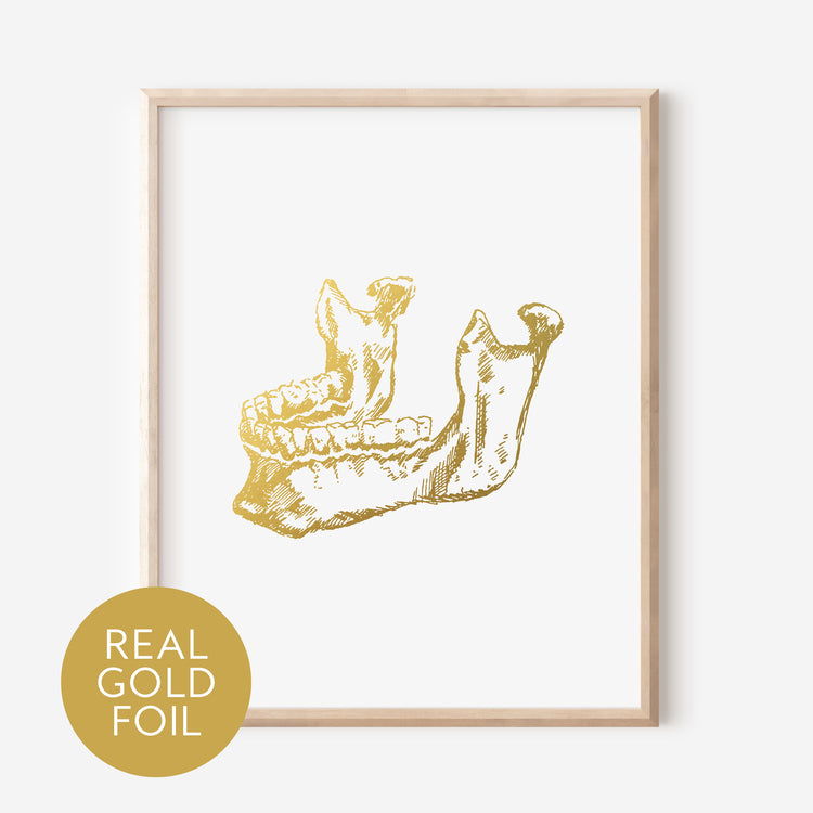 Human Jaw Gold Foil Print
