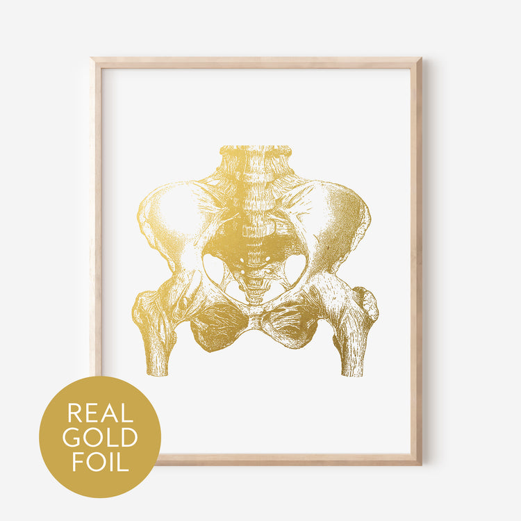 Human Pelvis Gold Foil Print