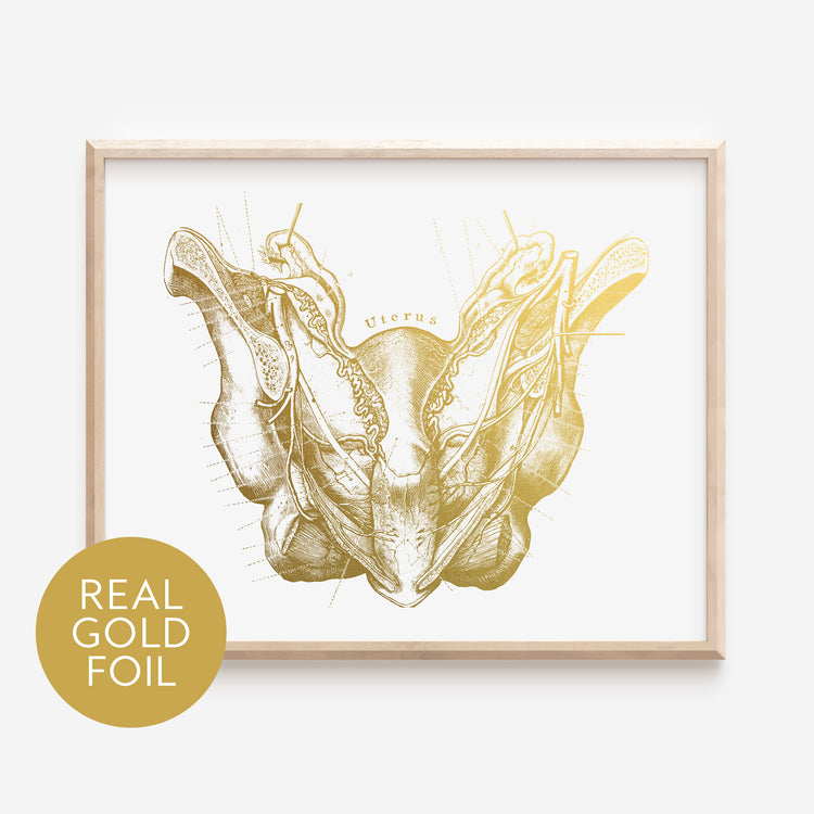 Uterus Gold Foil Print