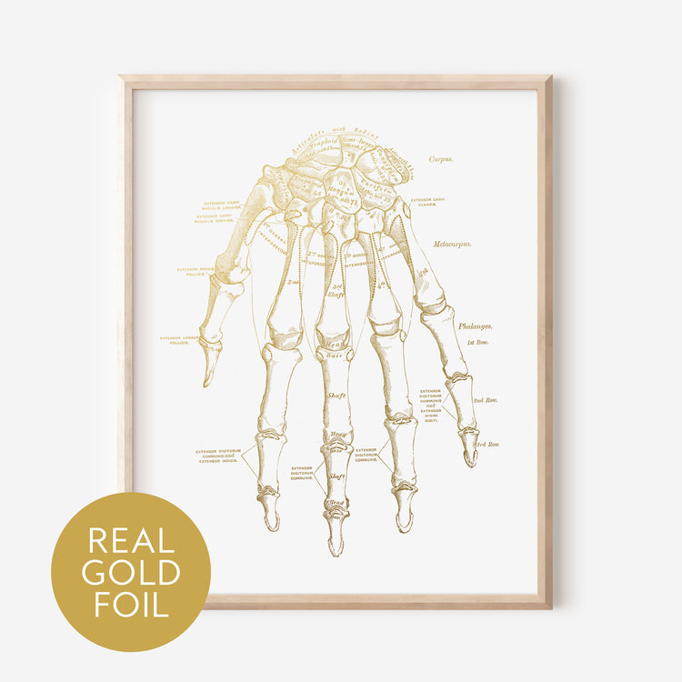 Hand Gold Foil Print