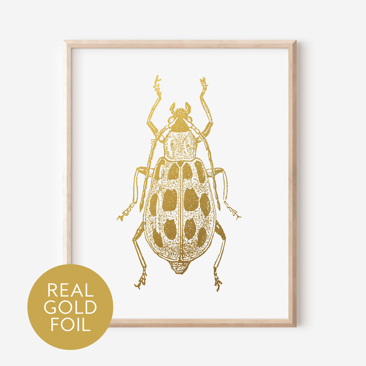 Corn Rootworm Gold Foil Print