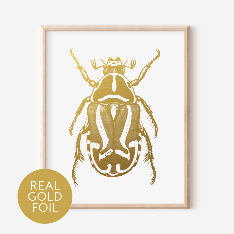 Diving Beetle Gold Foil Print