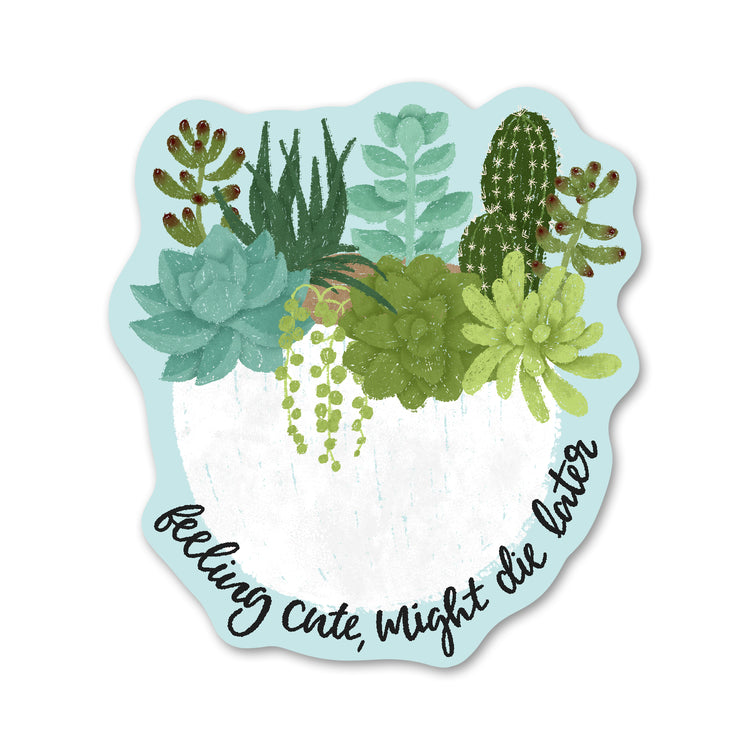 Feeling Cute, Might Die Later Succulent Sticker