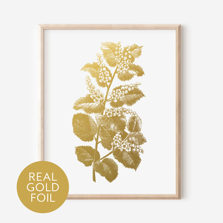 Lilly Gold Foil Print
