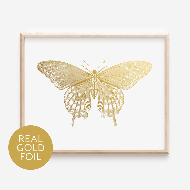 Papilio troilus Butterfly Gold Foil Print