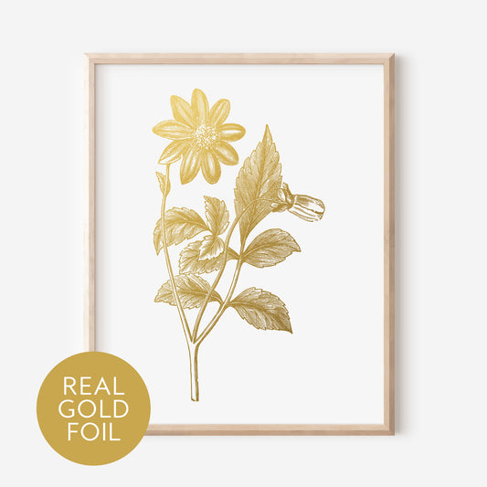 Dahlia Gold Foil Print